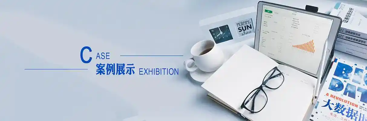 范县软件开发